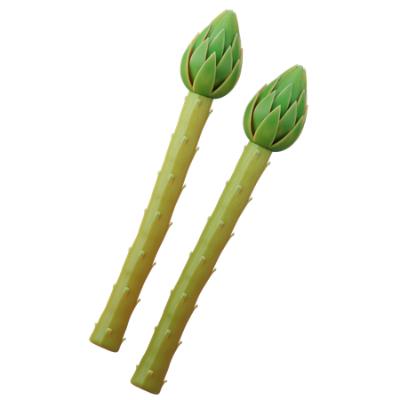 Asperges  3D Icon