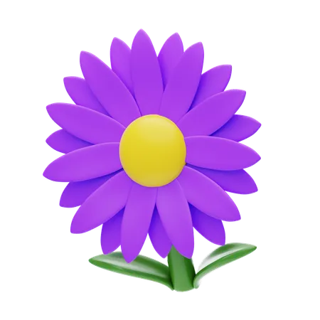 Aster  3D Icon