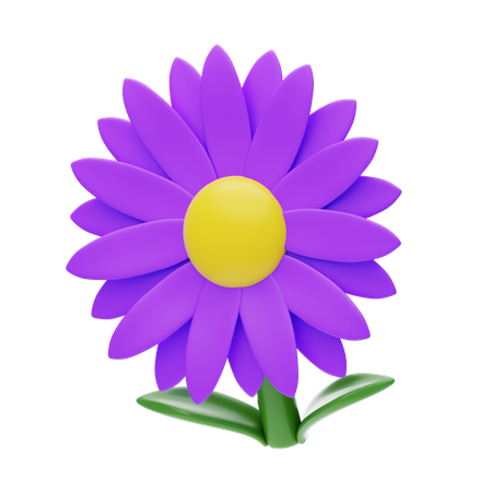 Aster  3D Icon