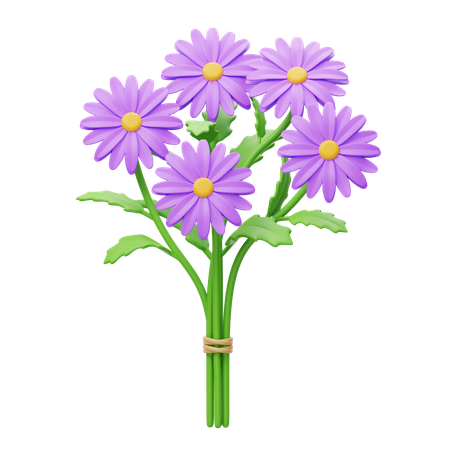 Aster Bouquet  3D Icon