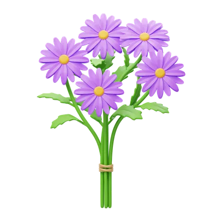 Aster Bouquet  3D Icon