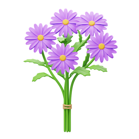 Aster Bouquet  3D Icon