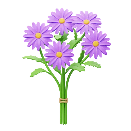 Aster Bouquet  3D Icon