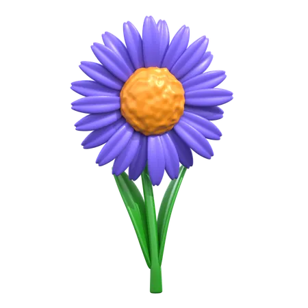 Fleur d'aster  3D Icon