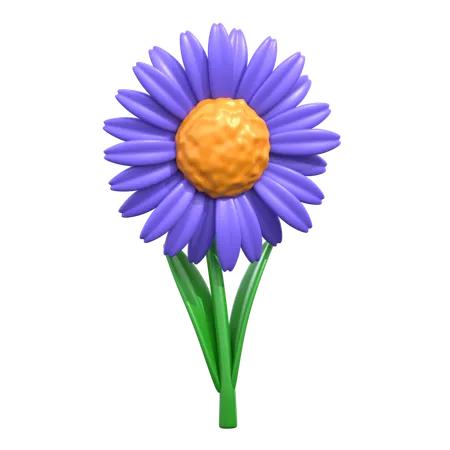 Aster Flower 3 D Icon 3D Icon
