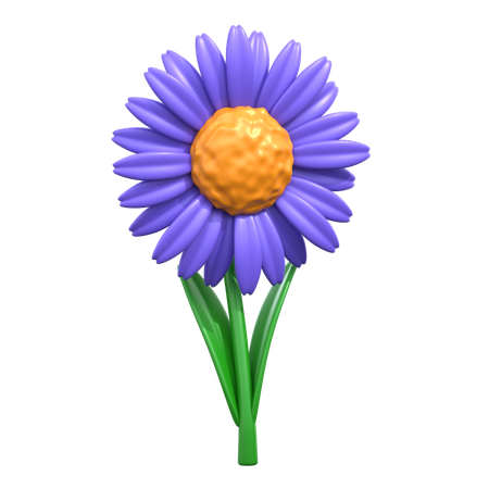 Aster Flower  3D Icon