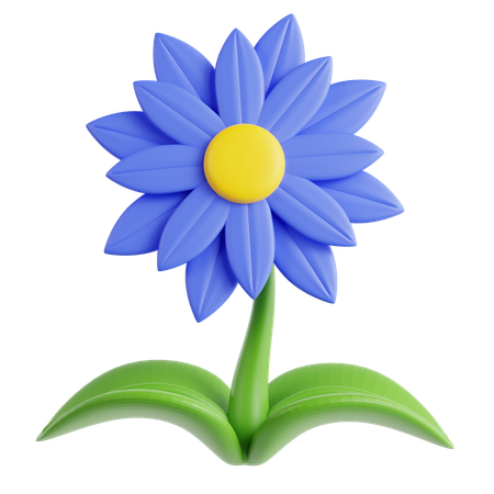 Asters  3D Icon