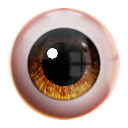 Augapfel  3D Icon