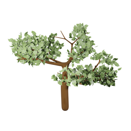 Autum Tree  3D Icon