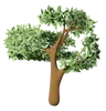 Autum Tree