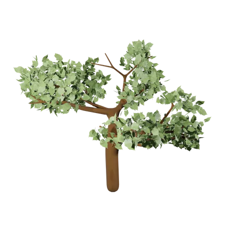 Autum Tree  3D Icon