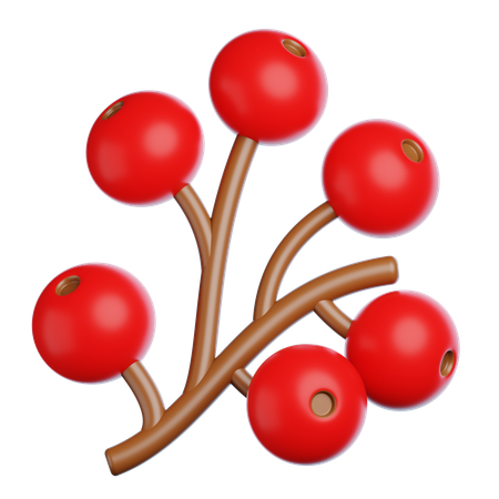 Autumn Berry  3D Icon