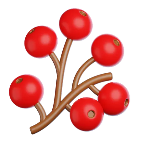 Autumn Berry  3D Icon