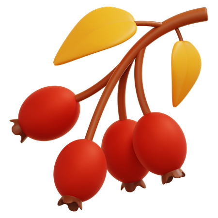 Autumn Berry  3D Icon