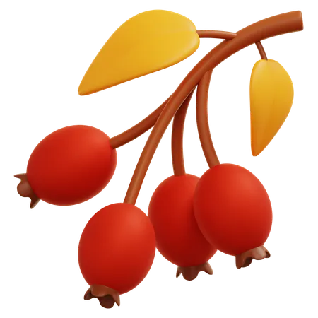 Autumn Berry  3D Icon