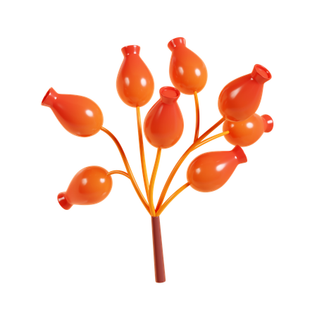 Autumn Berry  3D Icon