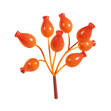 Autumn Berry  3D Icon