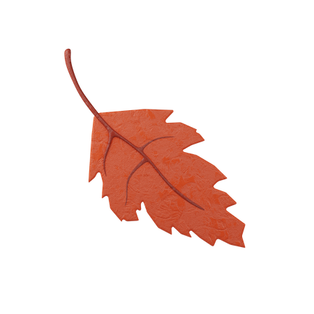 Autumn Leaf  3D Icon