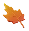 Autumn Leaf