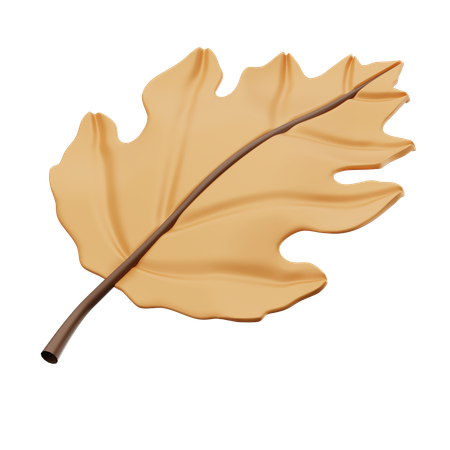 Autumn Leaf  3D Icon