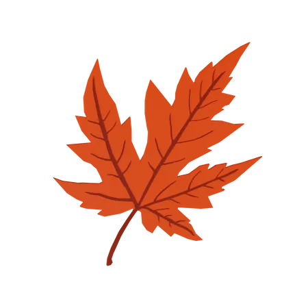 Autumn Leave  3D Illustration