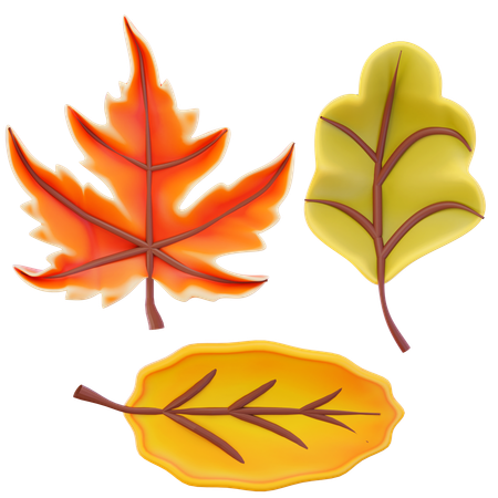 Autumn Leaves  3D Icon