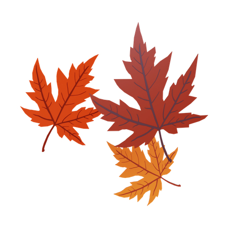 Autumn Leaves  3D Illustration