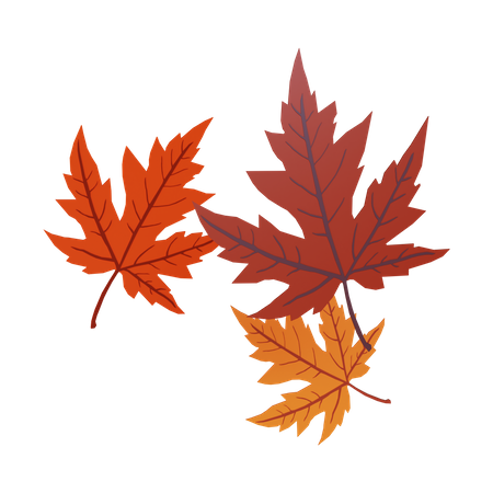 Autumn Leaves 3D Illustration