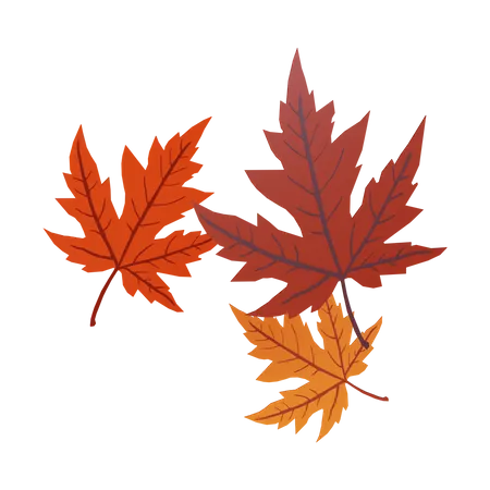 Autumn Leaves  3D Illustration