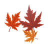 design assets for autumn leaves