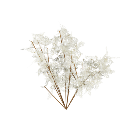 Autumn White Bush  3D Icon