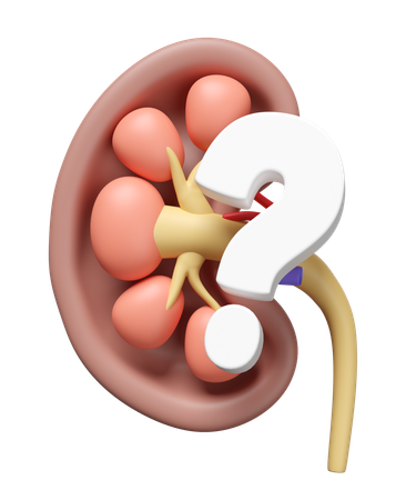 Ayuda renal  3D Icon
