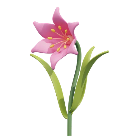 Azalea Flower  3D Icon