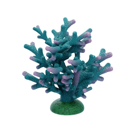 Azul-petróleo e coral  3D Icon