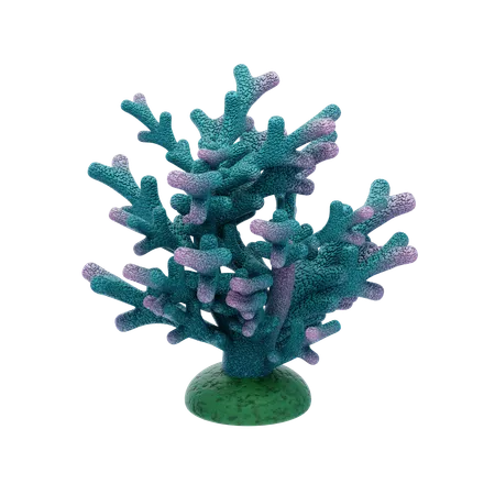 Azul-petróleo e coral  3D Icon