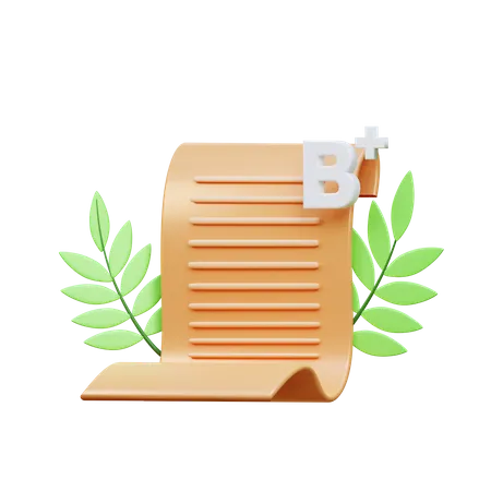 B Plus Grade Result  3D Icon