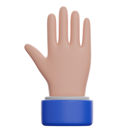 Back Of Hand  3D Icon