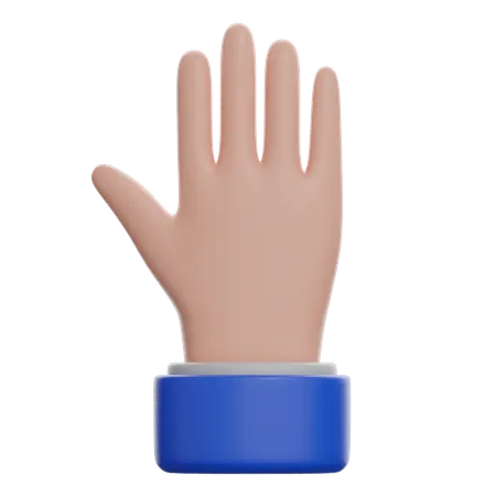 Back Of Hand  3D Icon