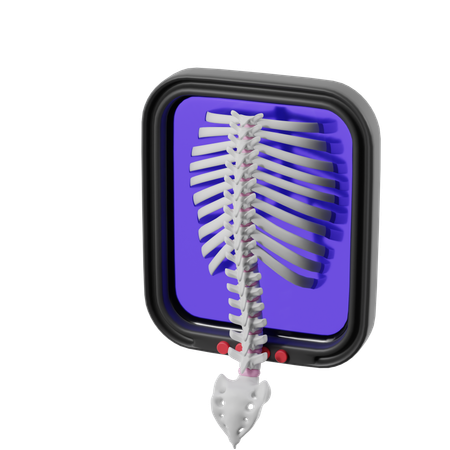 Back X Ray  3D Icon