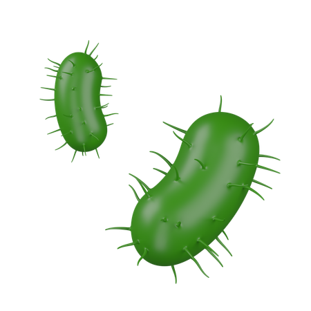 Bacteria  3D Icon