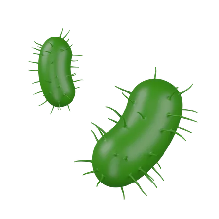 Bacteria  3D Icon