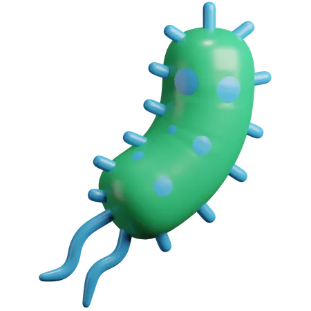 Bacteria  3D Icon