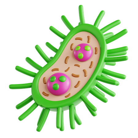 Bacteria  3D Icon