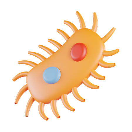 Bacteria  3D Icon