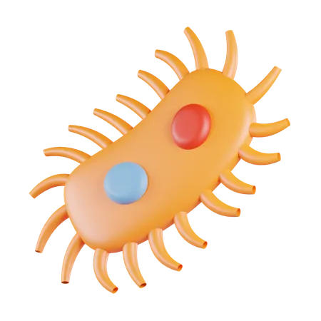 Bacteria  3D Icon