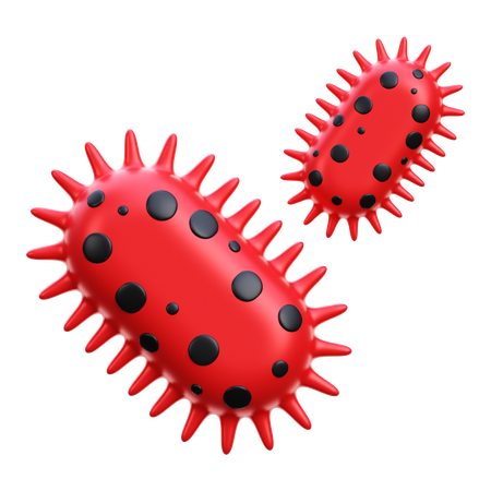 Bacteria  3D Icon