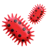 Bacteria