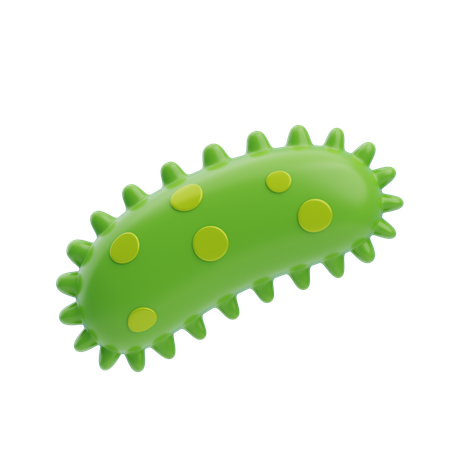 Bacteria  3D Icon