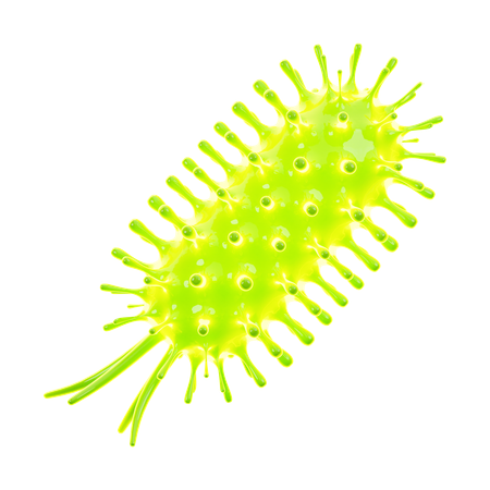 Bacteria  3D Icon