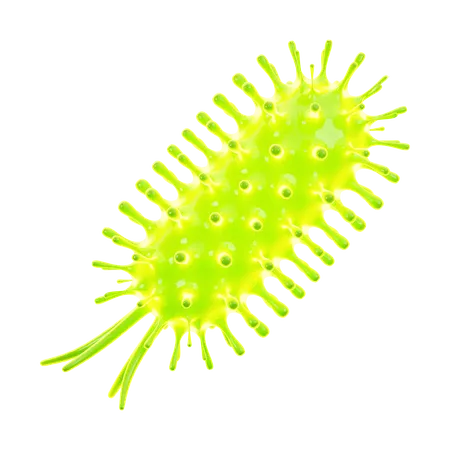 Bacteria  3D Icon